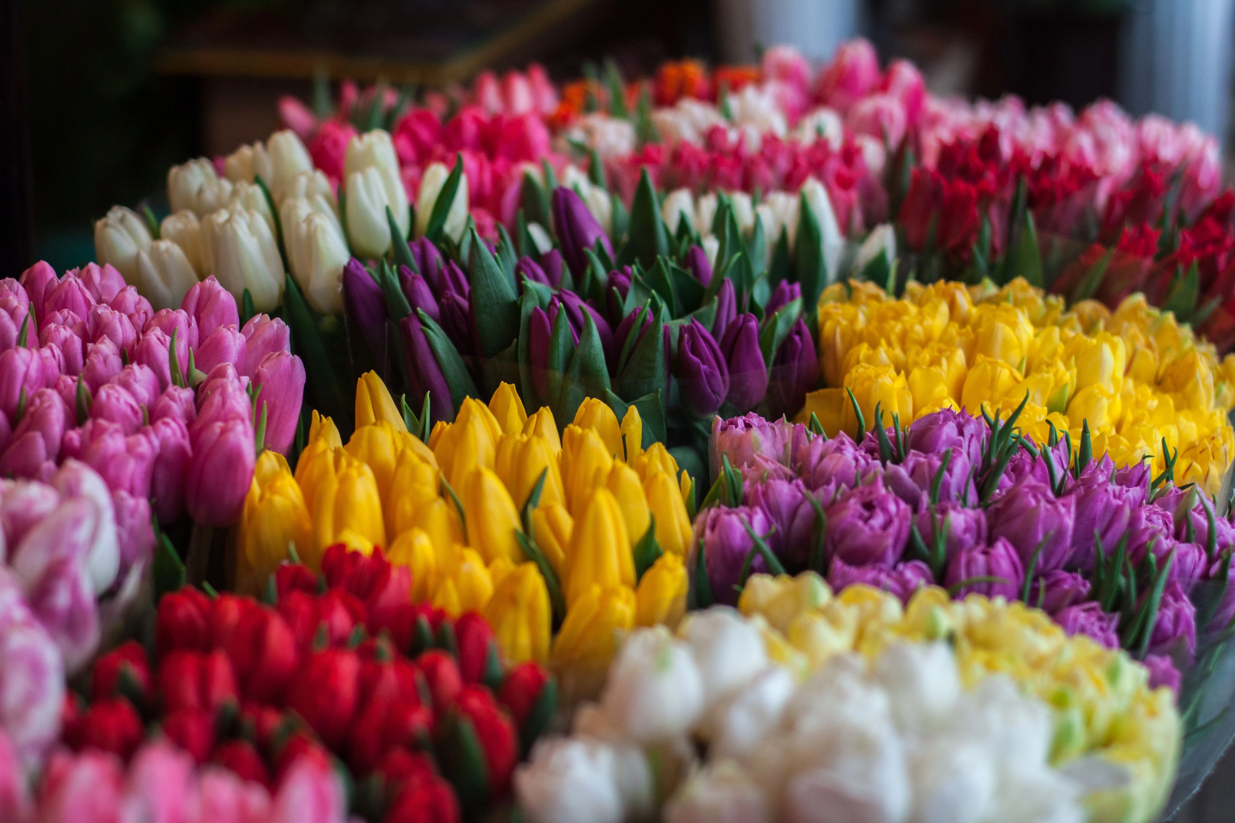 6aa1770742bde.webp