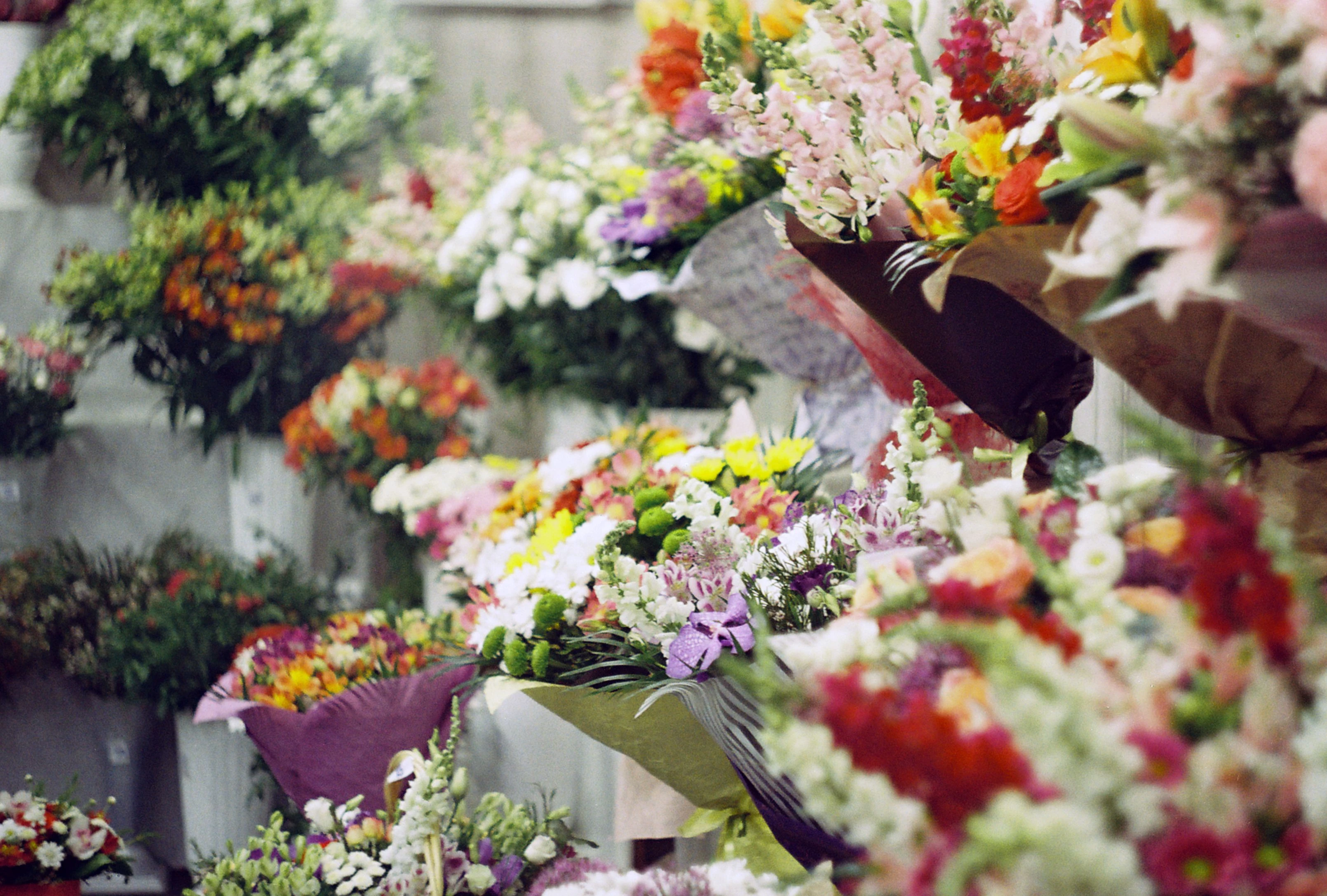 6aa1770f3afab.webp