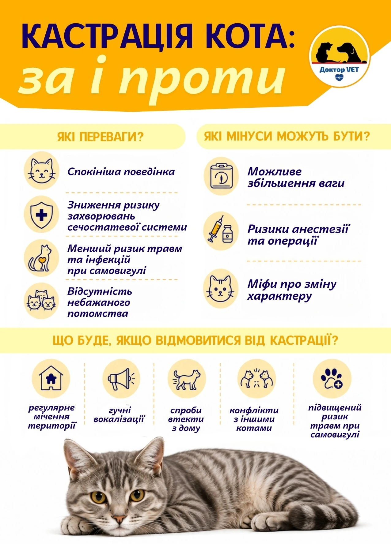 6aa2bb8f4a525.webp