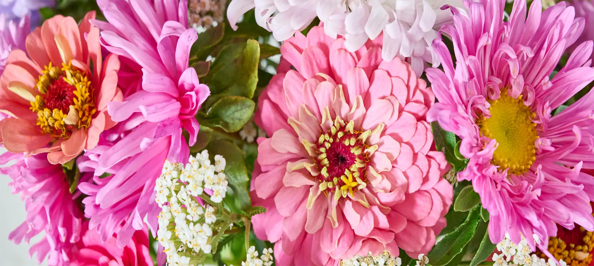 6aa7a07938bfc.webp