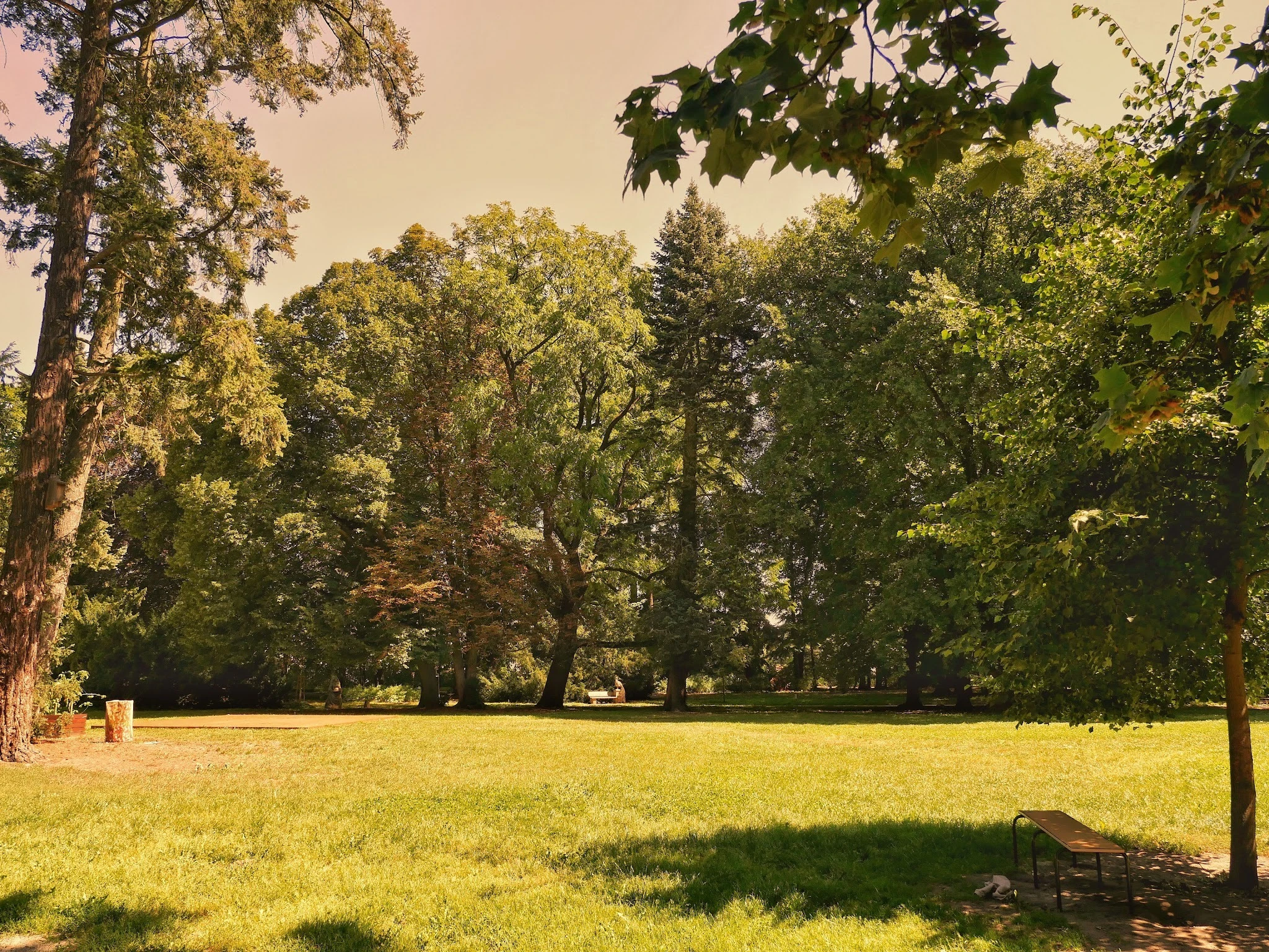6aaec05b7e70f.webp