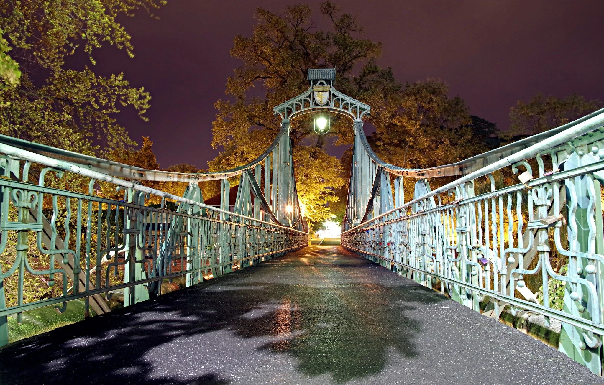 6ab109723ff92.webp