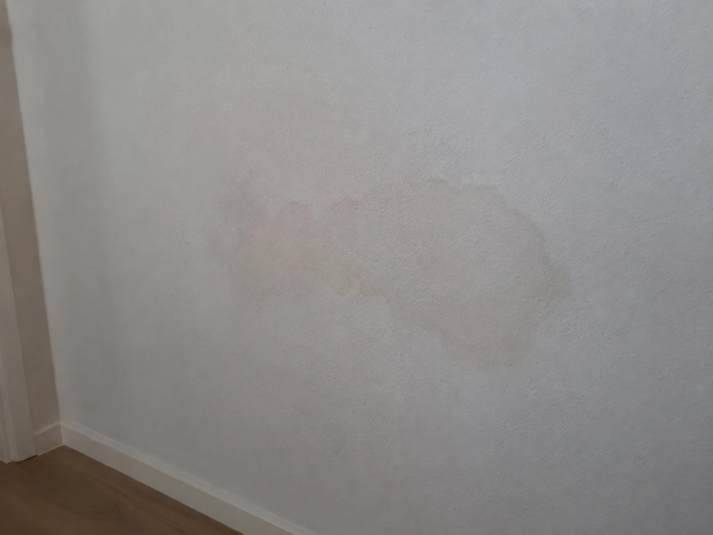 6ab404e9918c4.webp