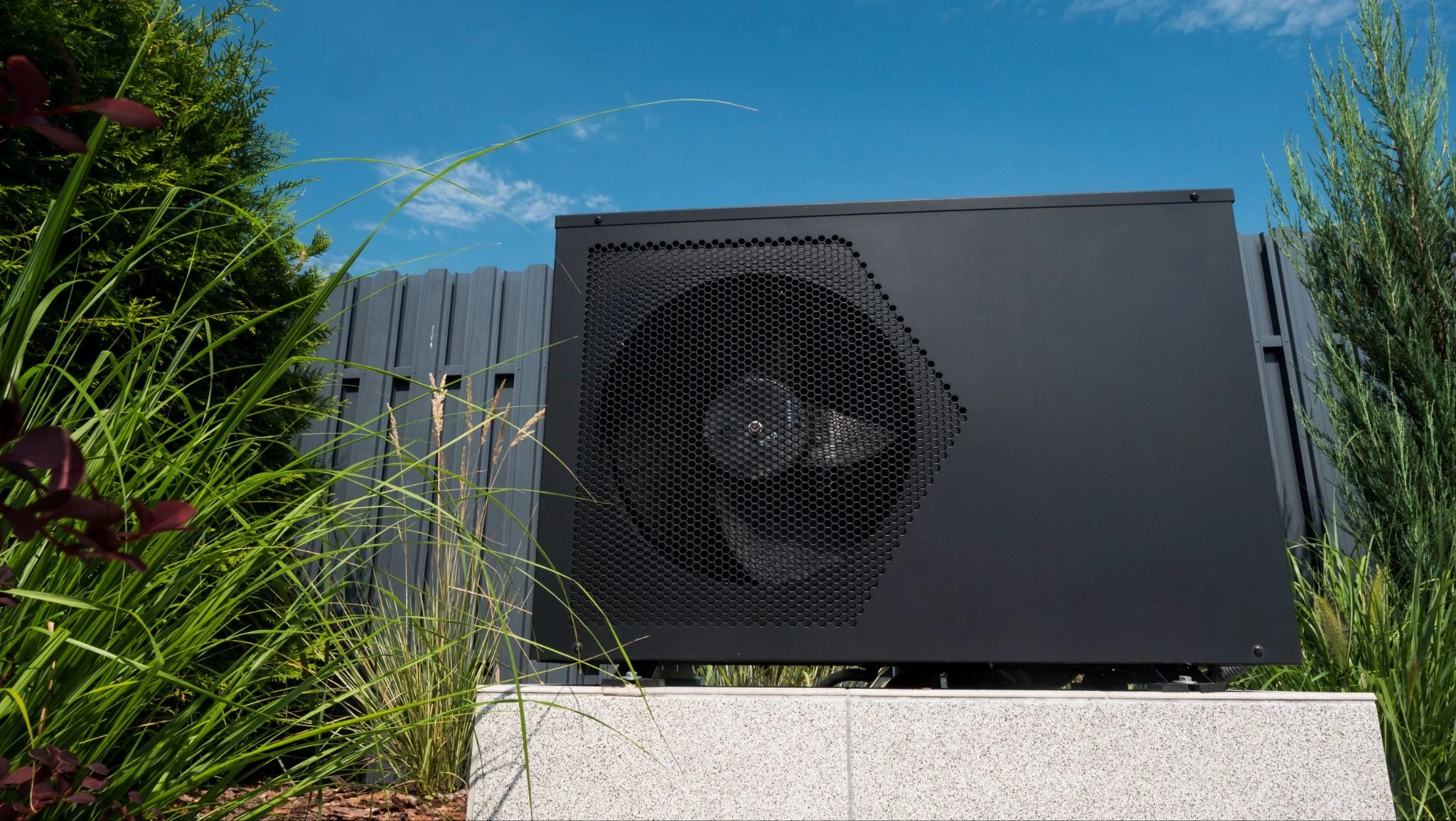 6ab64fe084185.webp