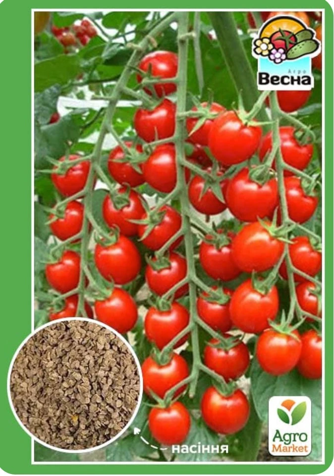 6aba1773a47ad.webp