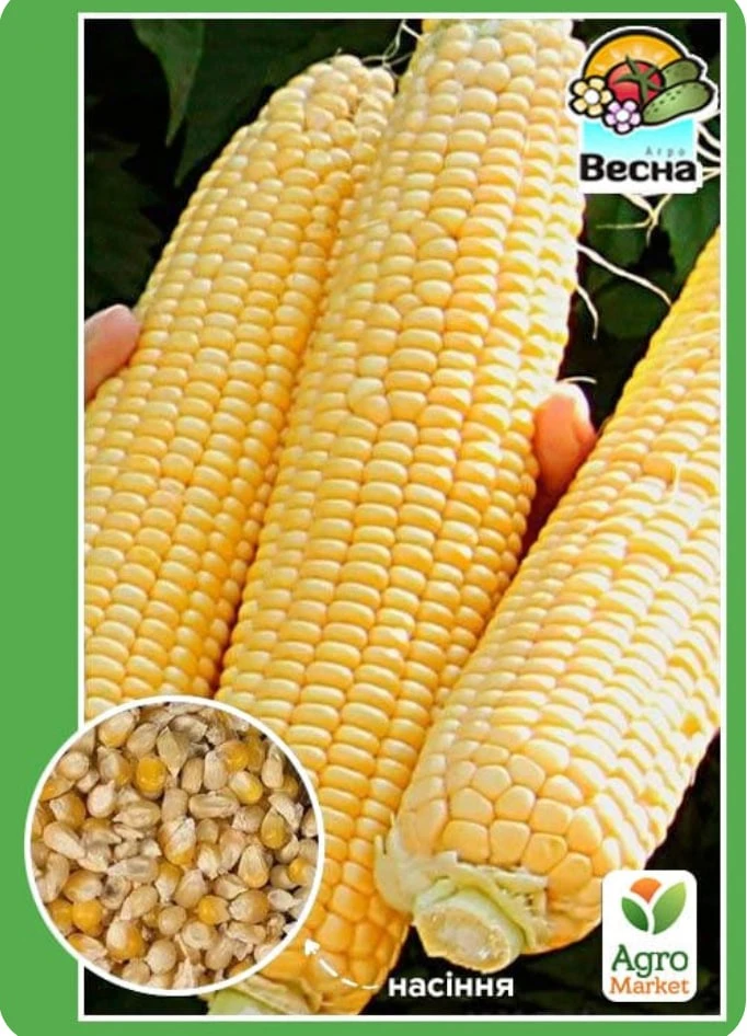 6aba17e8073bc.webp