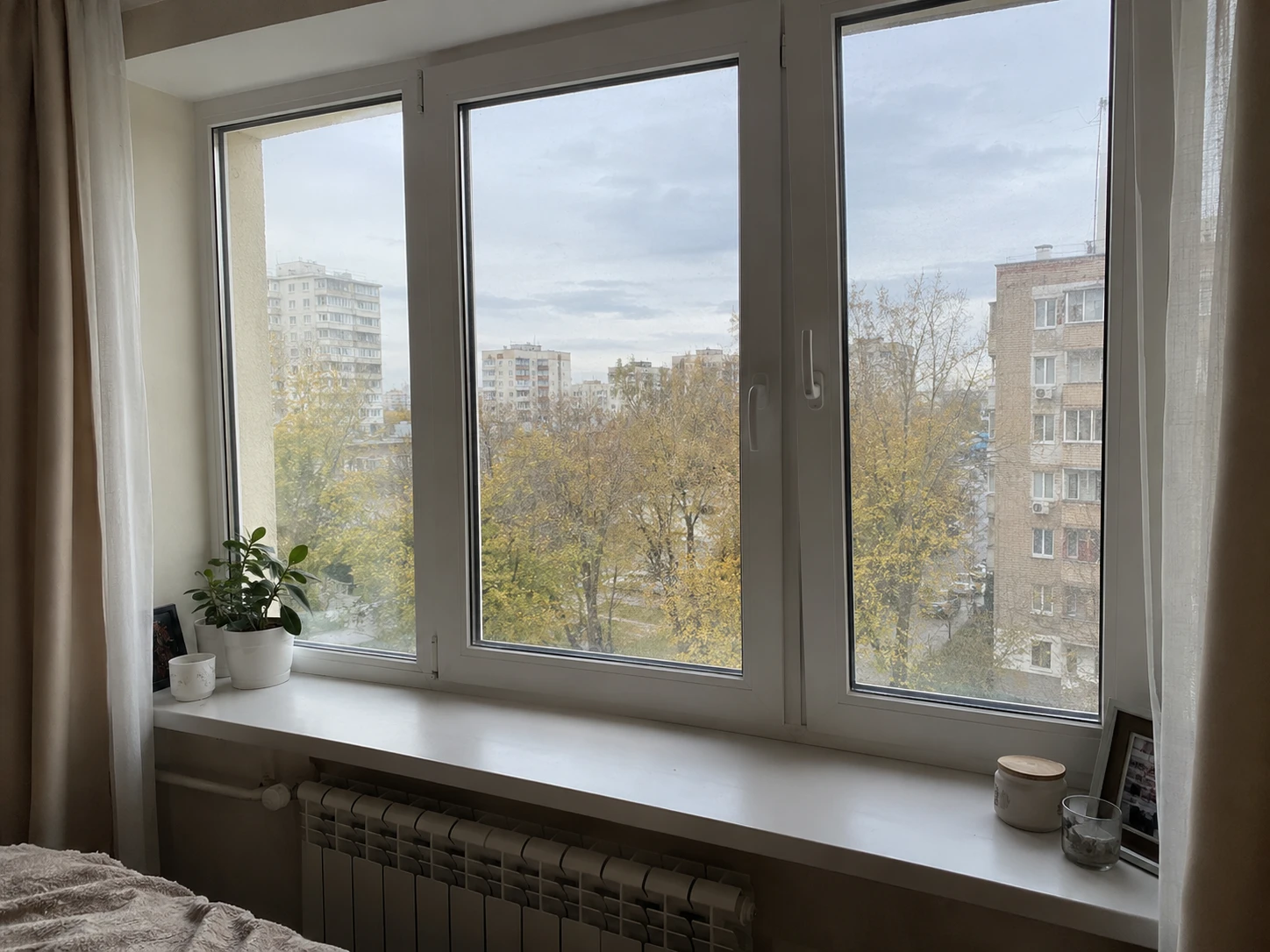 6ac3412528cea.webp