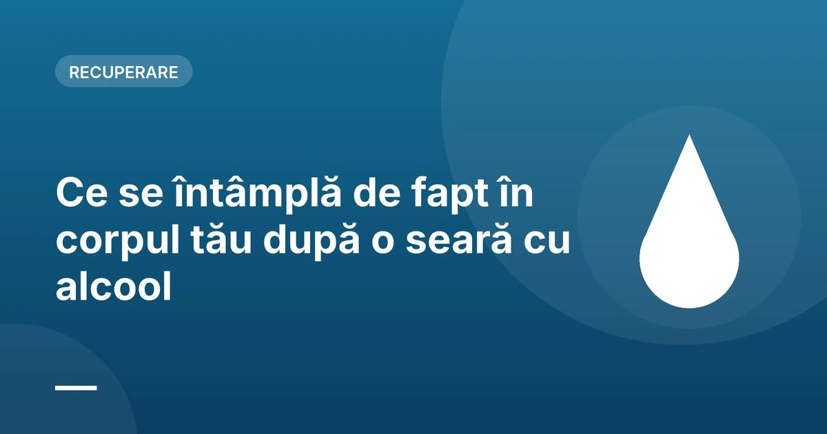 Ce se întâmplă de fapt în corpul tău după o seară cu alcool 2 Ce se întâmplă de fapt în corpul tău după o seară cu alcool