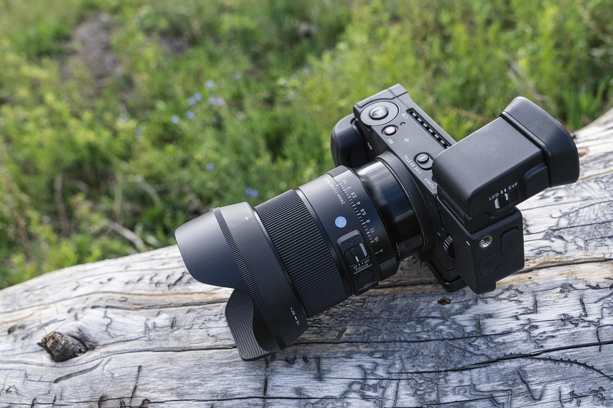 Об'єктив Sigma 24mm f/1.4 DG DN Art з блендою на камері Sigma fp з видошукачем EVF-11, що лежить на стовбурі поваленого дерева серед трави