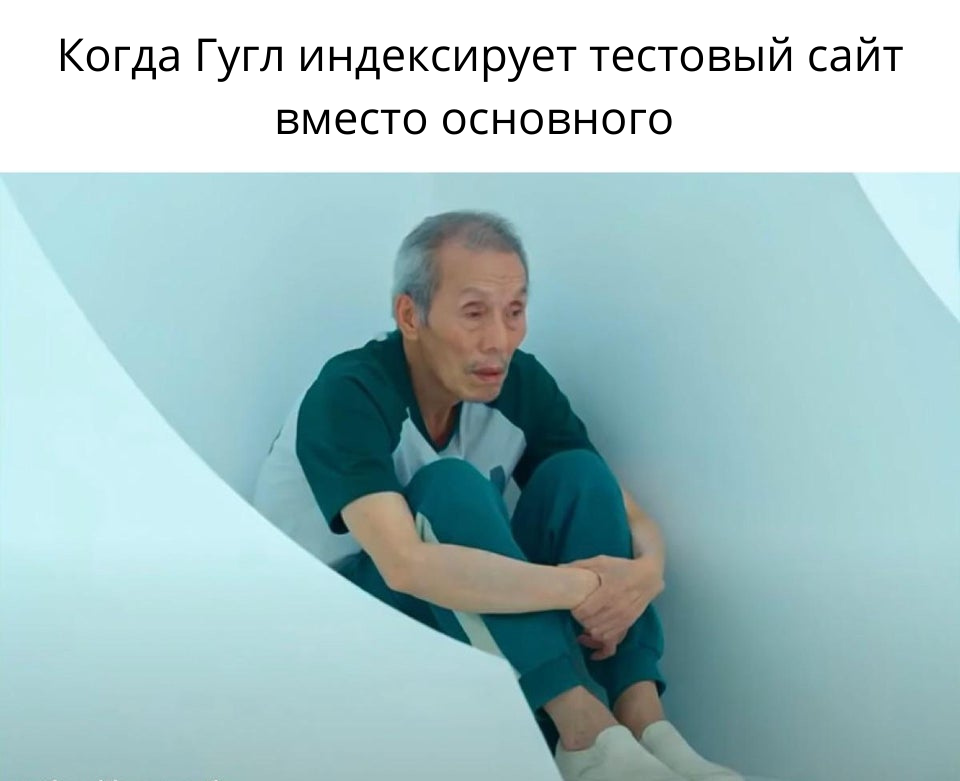 что делать, если тестовй сайт попал в индекс 