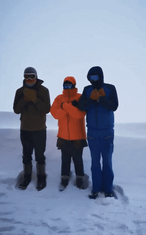 Гугл обнаружил сетку сайтов pbn