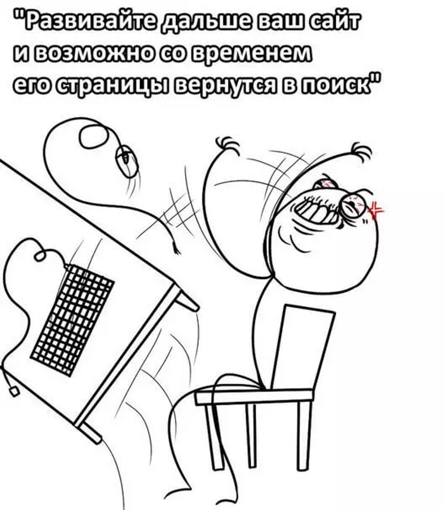 seo юмор, seo шутки
