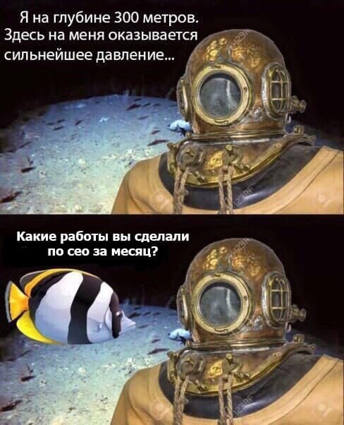 seo шутки, сео юмор