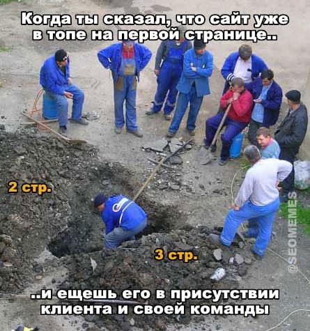 seo seo мемы, seo шутки
