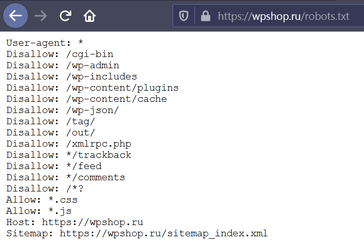 стандартный формат robots.txt