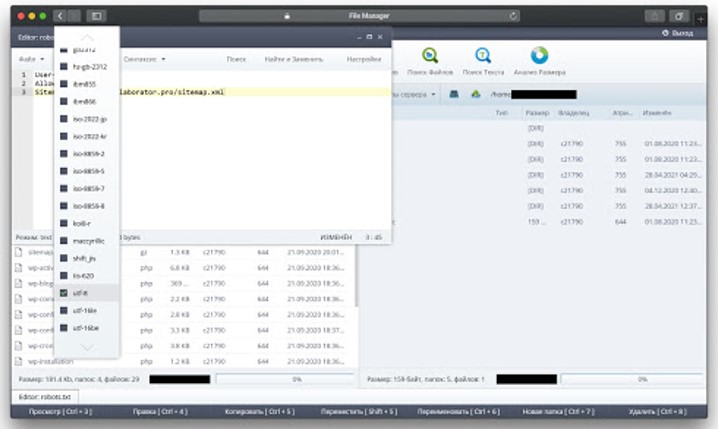 Валидатор - инструмент проверки файла robots.txt