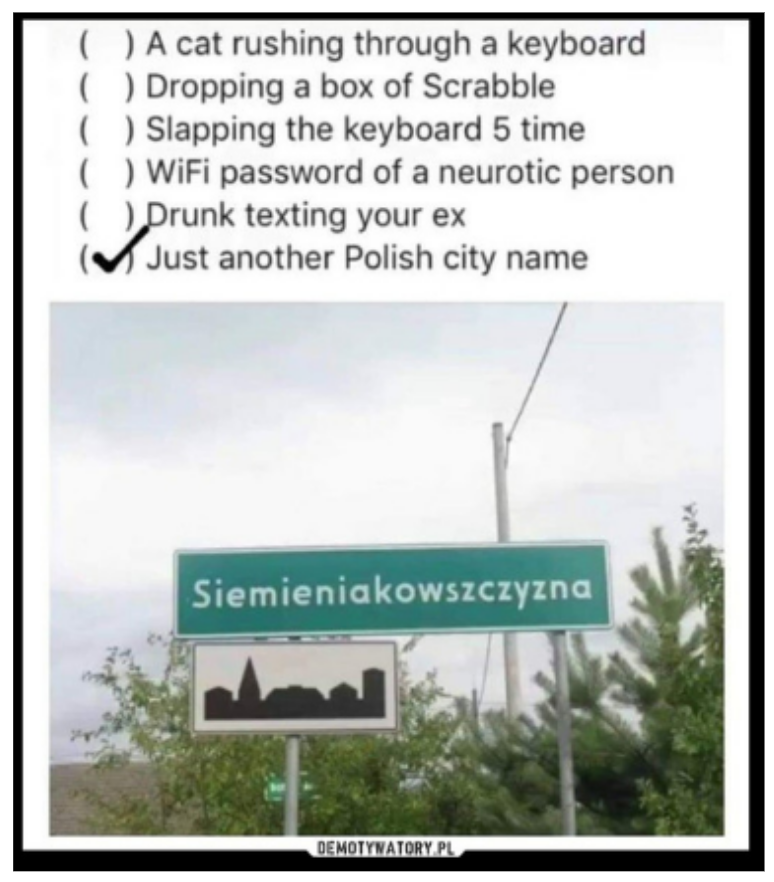 seo в польщі як знайти роботу