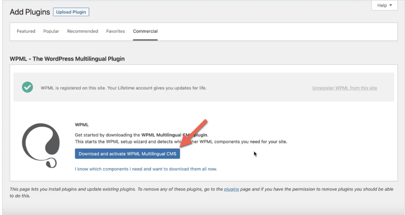 мультиязычность wp