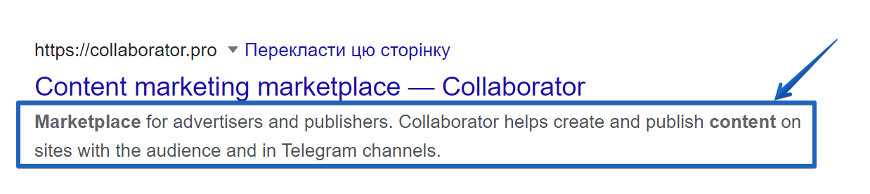 The Description Metateg in snippet