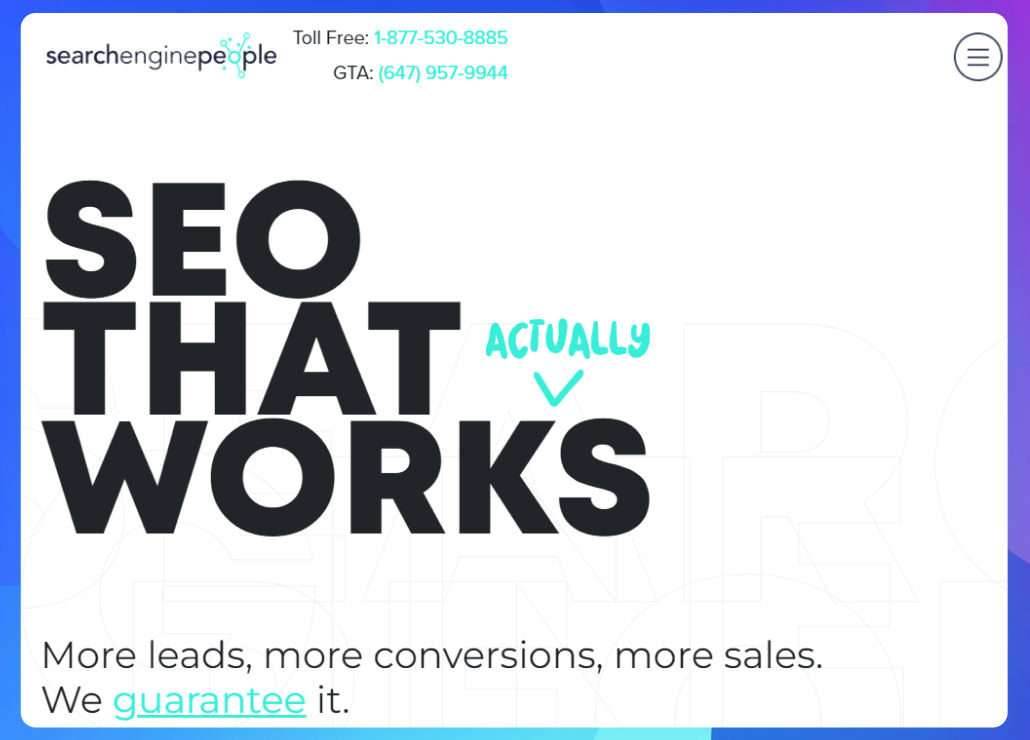 The homepage of the Search Engine People website