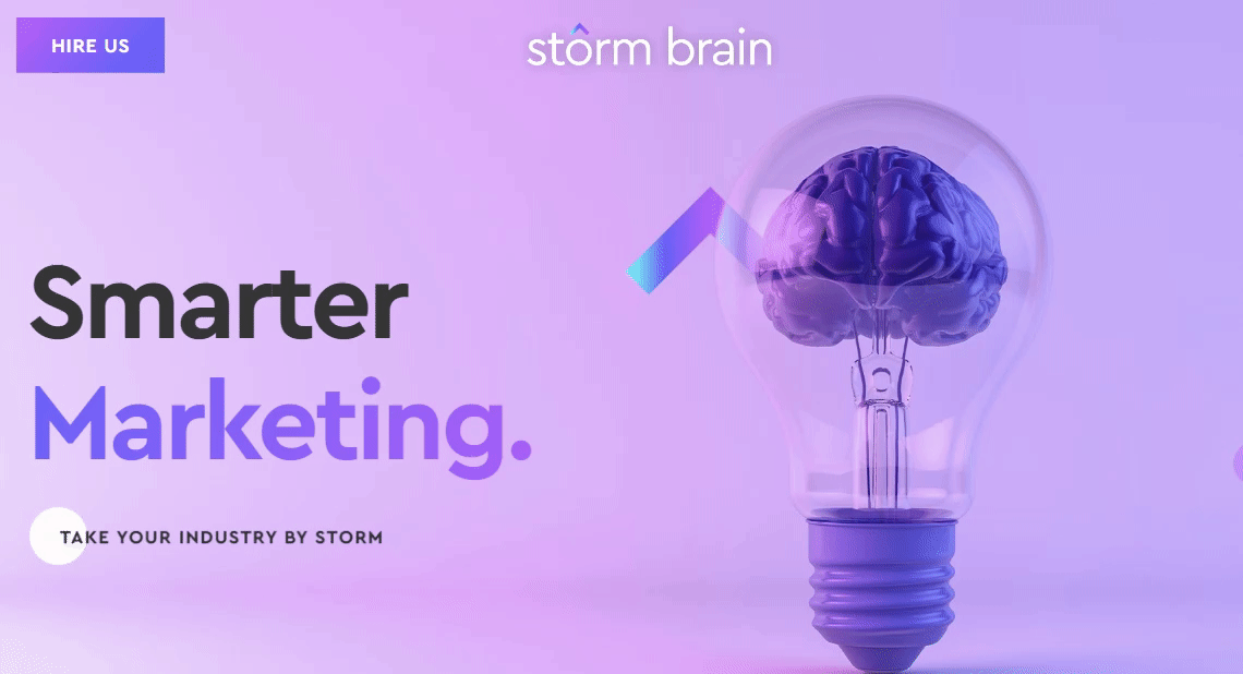 The homepage of the Storm Brain website